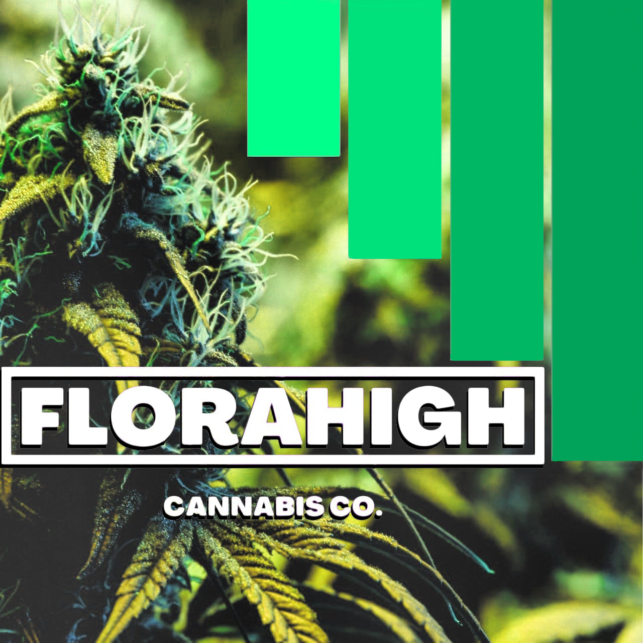FloraHigh Cannabis Co.